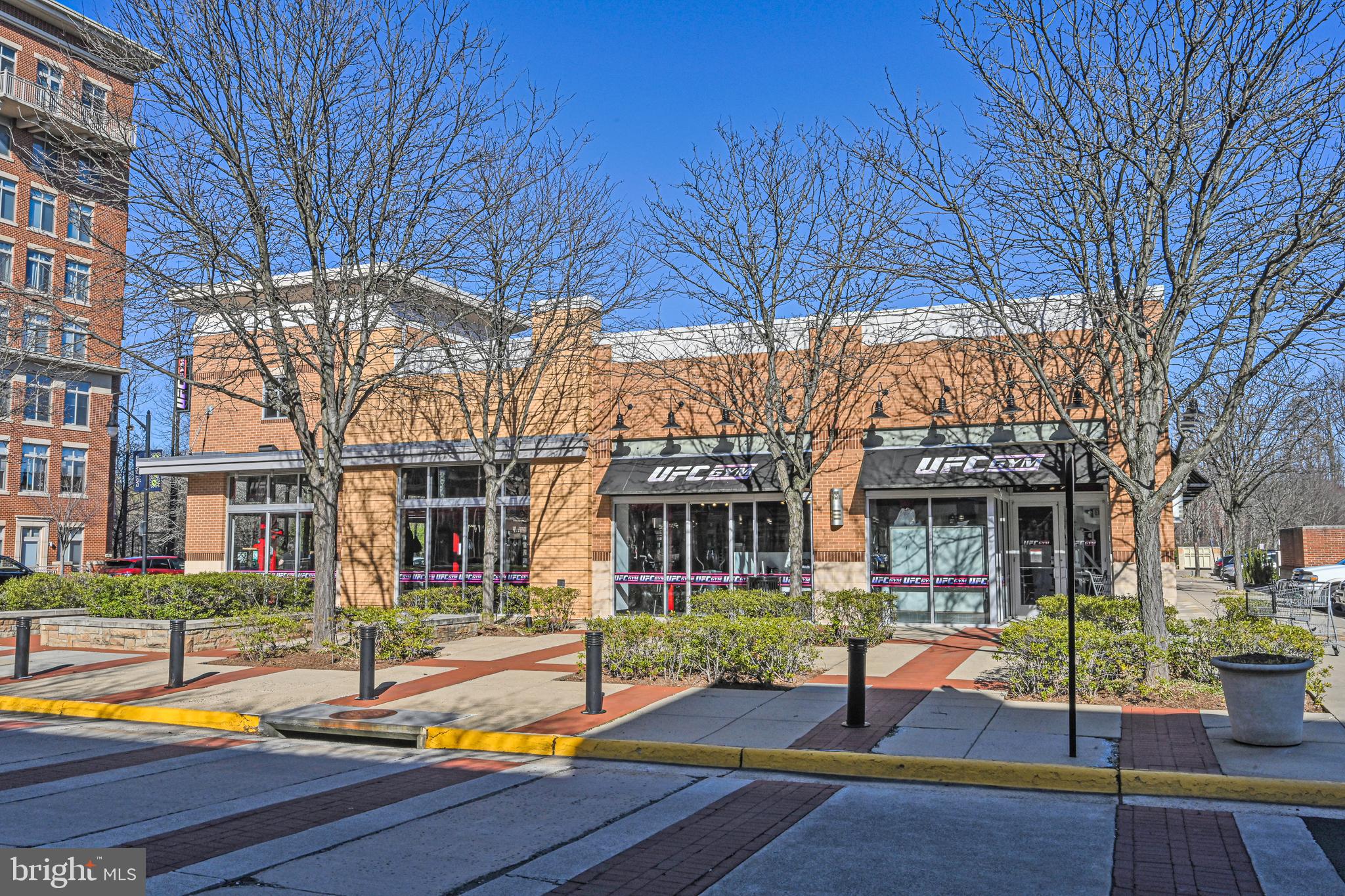 ELAN AT EAST MARKET - Residential