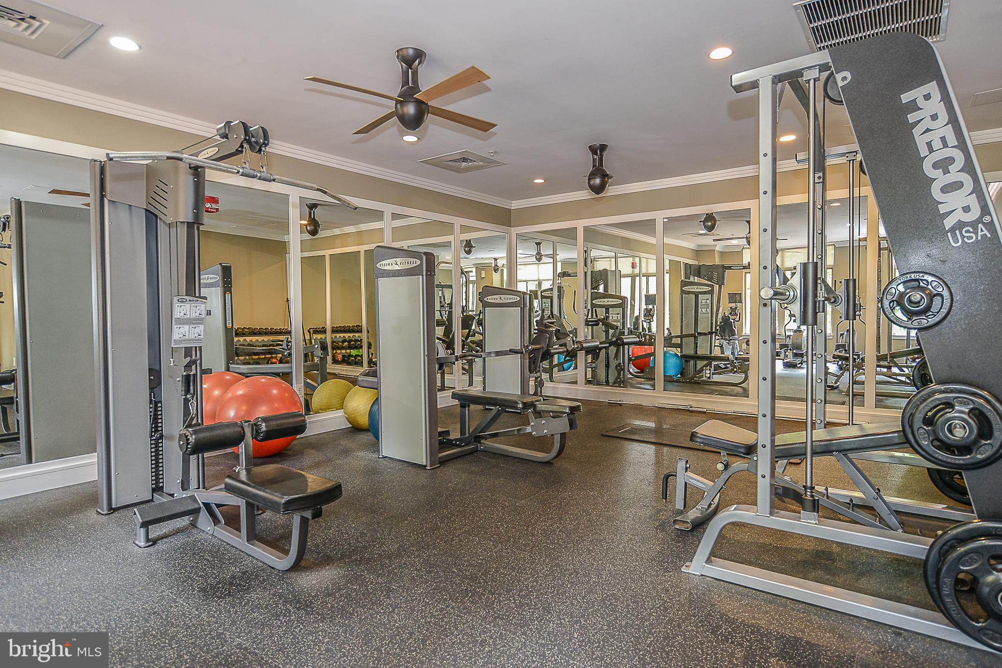 ELAN AT EAST MARKET - Residential