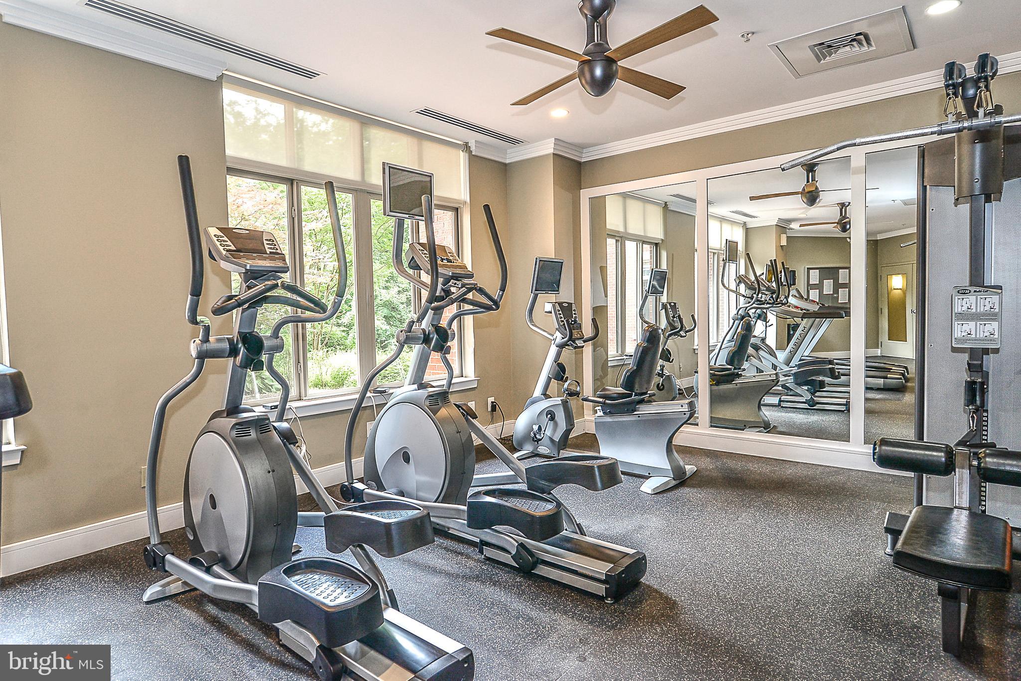 ELAN AT EAST MARKET - Residential