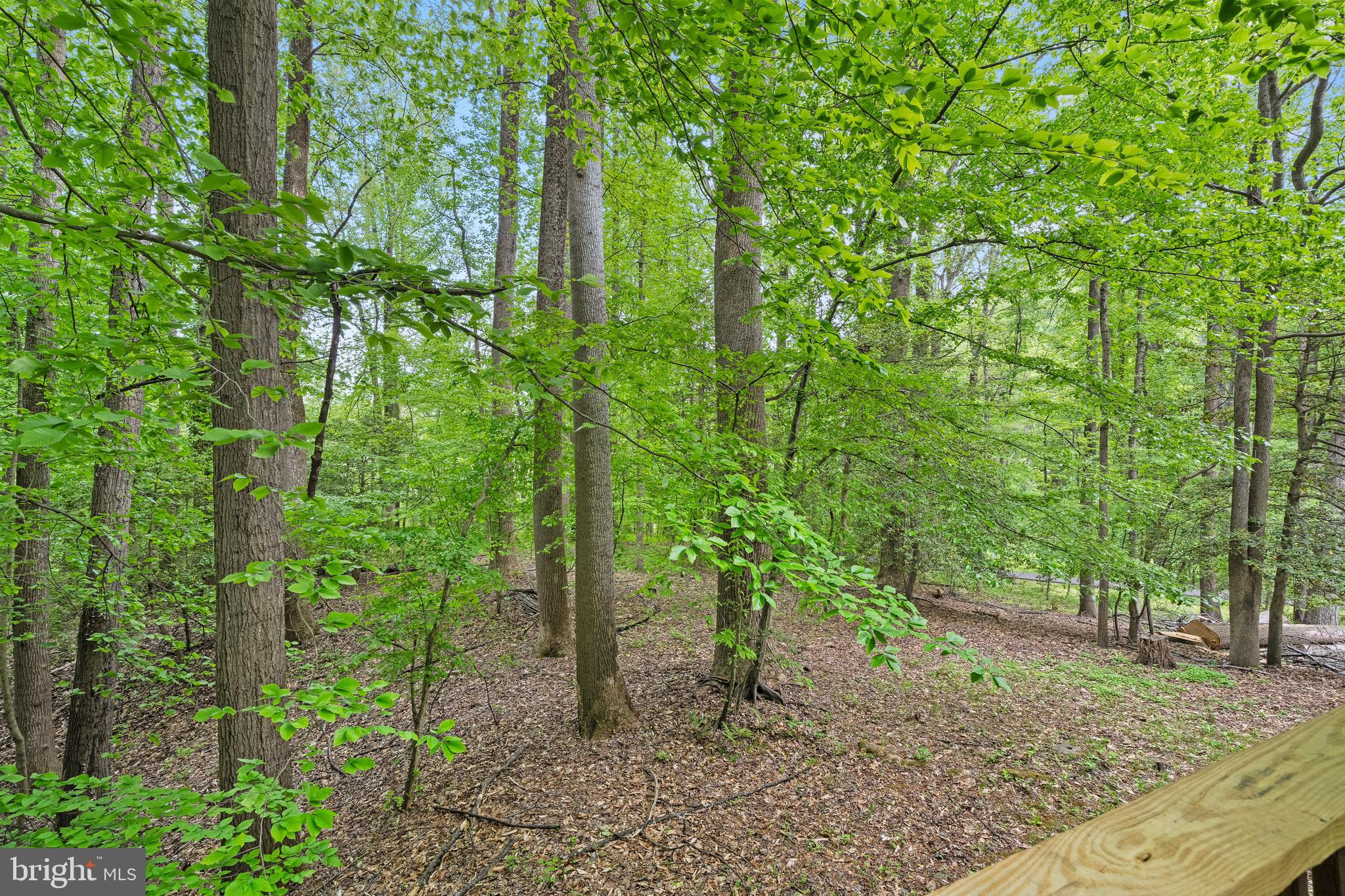 PAGE PROPERTY - Residential