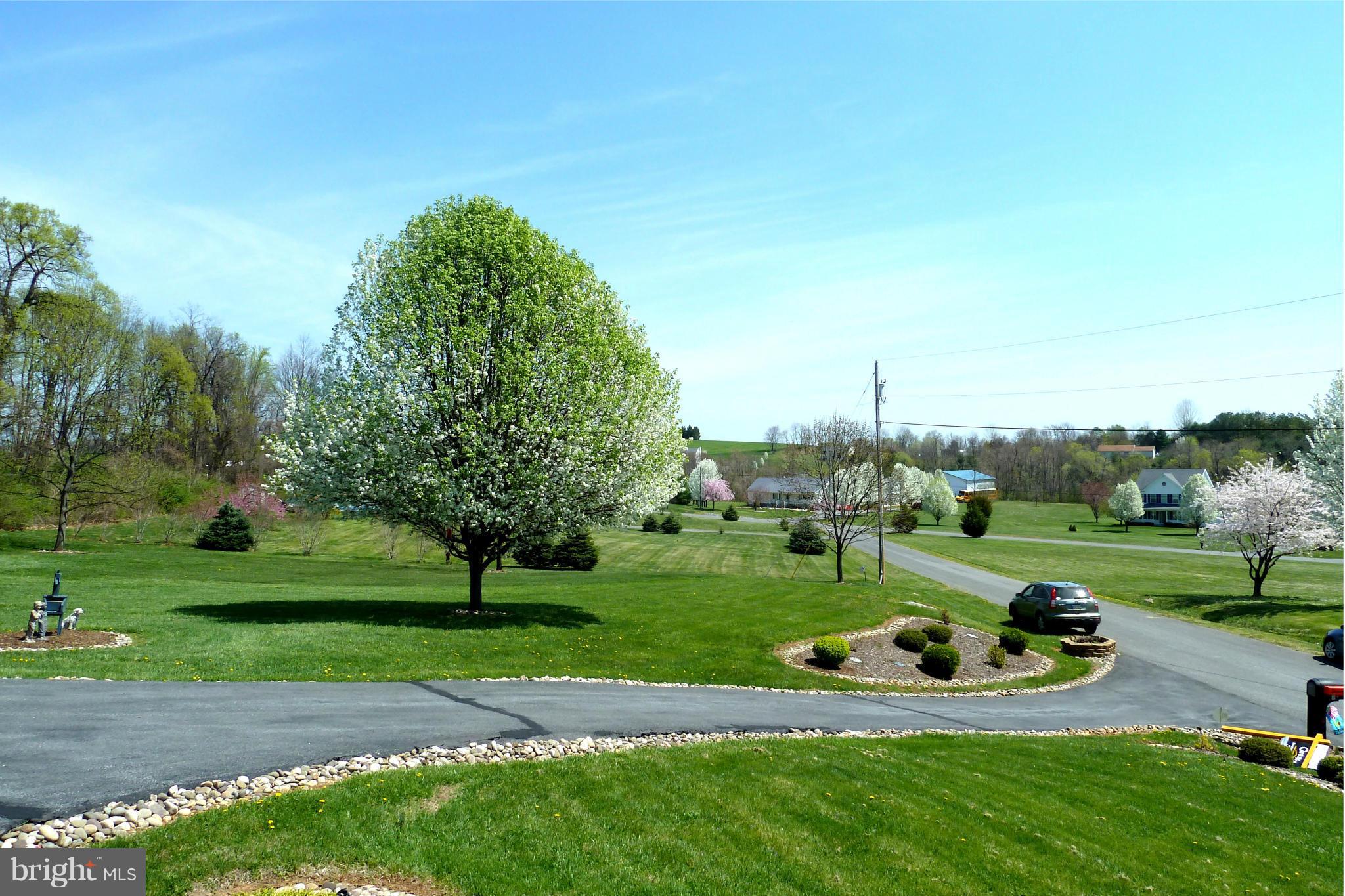 SHADYSIDE - Residential