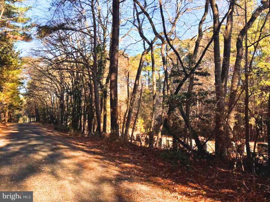 1 acre lot located in Lexington Park with recorded Perc. The possibilities are endless. This location is very close to shopping, restaurants, and schools. Tour the property today!
