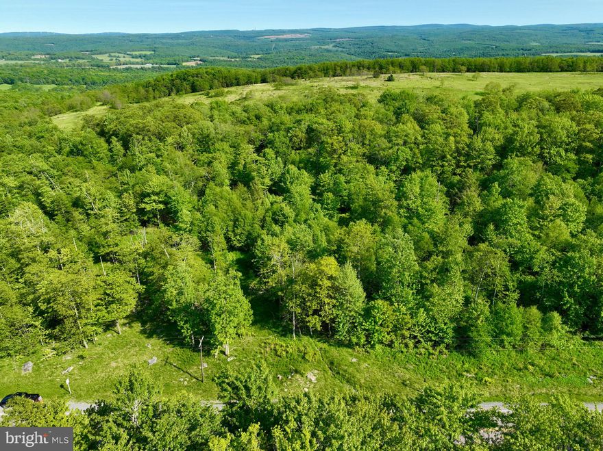 Discover the perfect blend of nature and adventure with this remarkable 212-acre property, conveniently located with road frontage and an access point off Route 50. This unique offering consists of three different parcels: Tax ID 1208010161 (10.38 acres), Tax ID 1208007497 (39.05 acres), and Tax ID 1208007535 (162.72 acres). Whether you’re looking for a serene retreat, an outdoor enthusiast's paradise, or an investment opportunity, this property has it all. Immerse yourself in the beauty of mixed landscapes, featuring expansive fields and lush woods. Nature trails meander through the wooded areas, making it ideal for horseback riding , ATVs or leisurely walks. With ample space to explore, this property is a hunter's paradise, providing abundant wildlife and a perfect spot for hunting enthusiasts. Don’t miss your chance to own this expansive piece of land that offers both tranquility and adventure. Whether you envision building your dream home, developing a recreational retreat, or simply enjoying the great outdoors, this property is an unparalleled opportunity not to be overlooked. Discover the endless possibilities that await within this diverse landscape today!