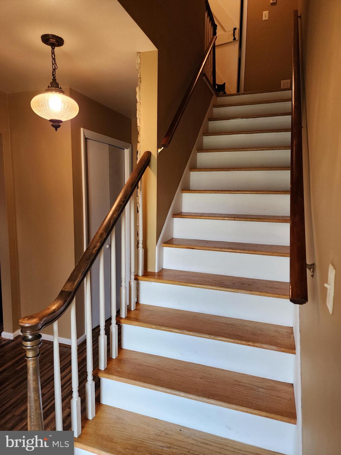 BRADDOCK ESTATES - Residential