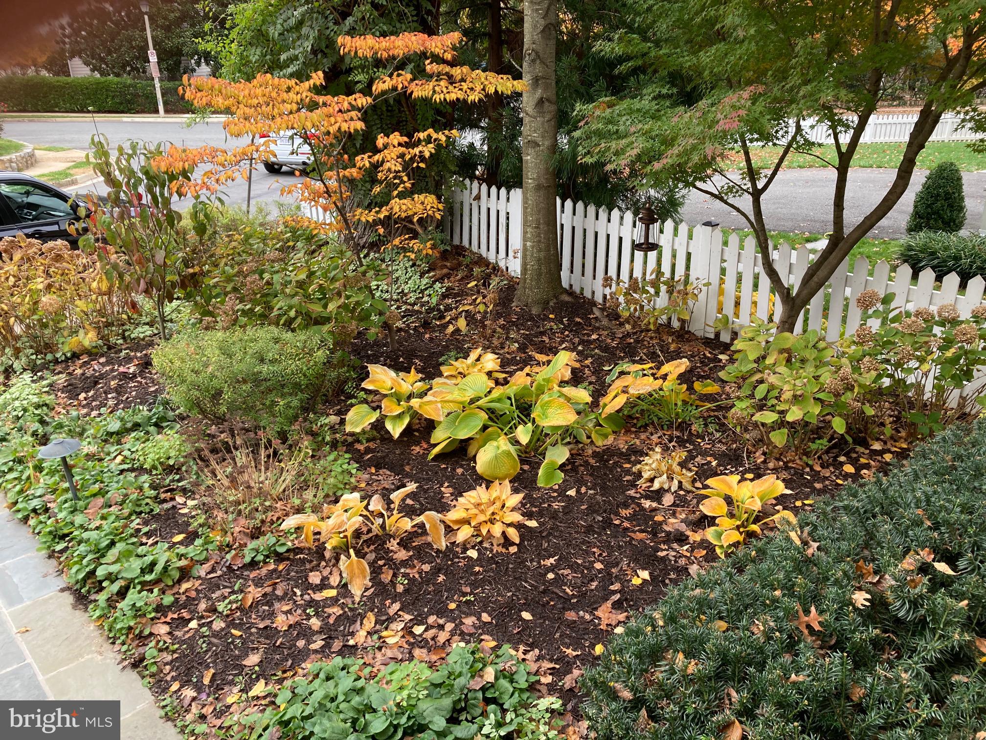 LYON VILLAGE - Residential