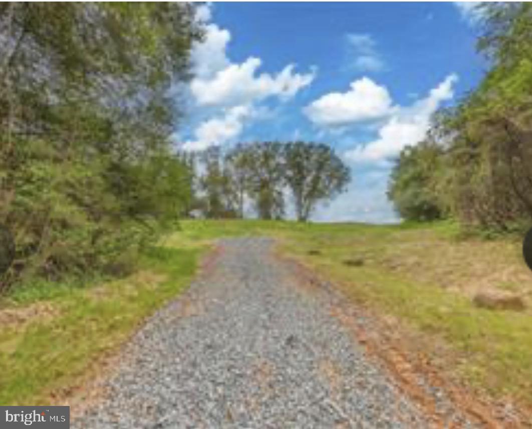 100 HORN HOLLOW ROAD HOLLOW 100