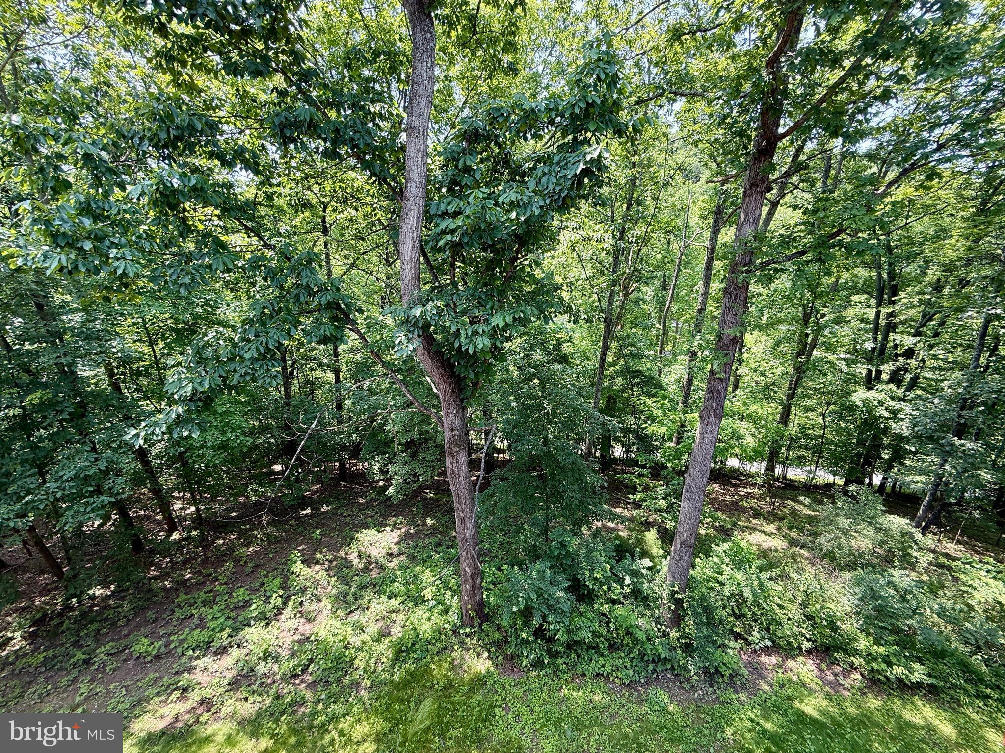 THE WOODS - Residential