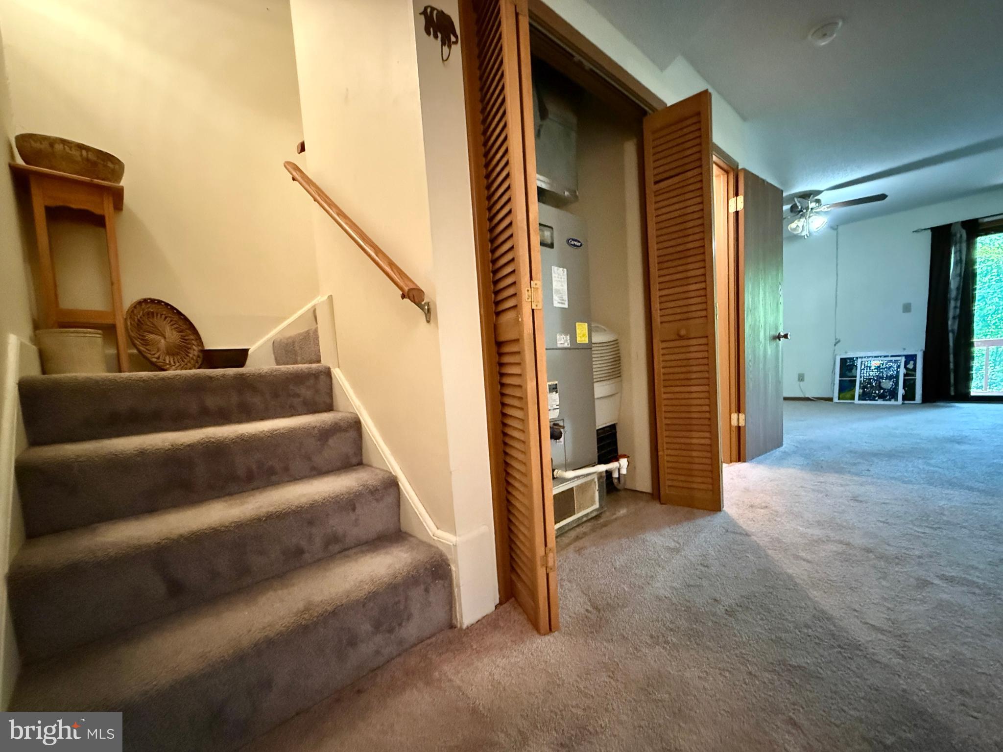 THE WOODS - Residential