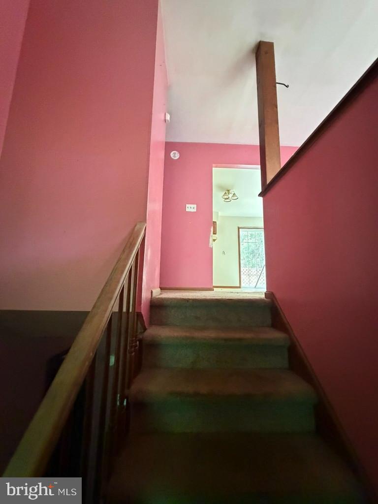 5 BRANDYWINE PLACE