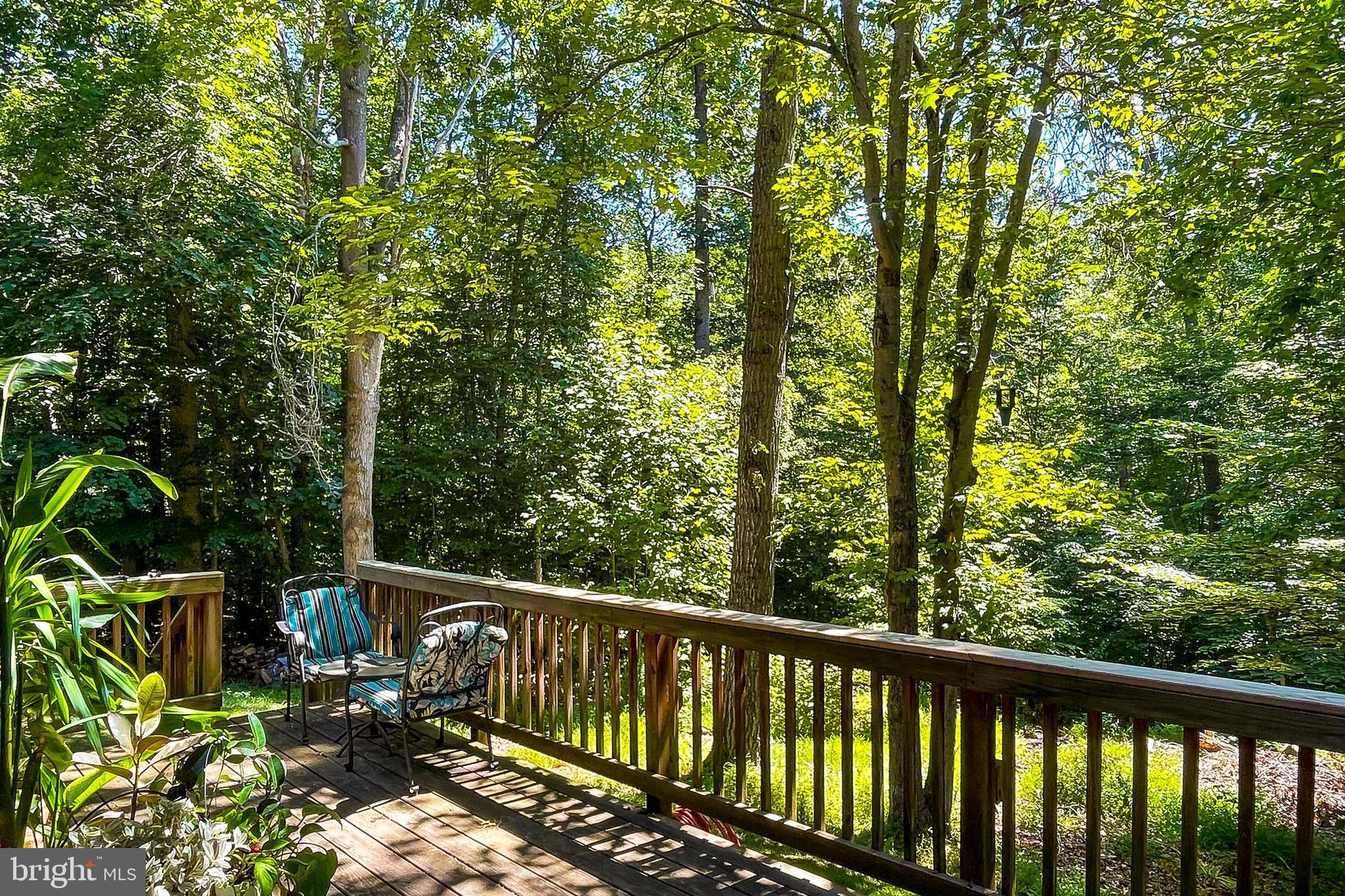 CLIFTON NORTH - Residential