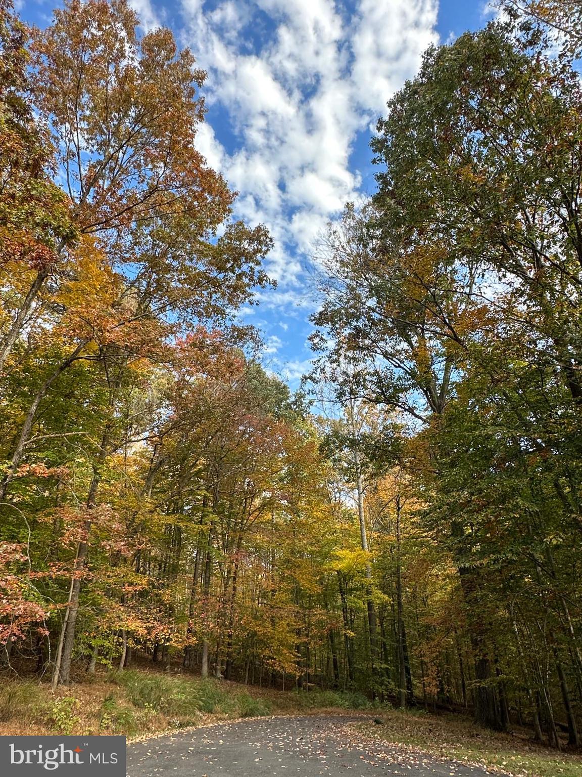 CLIFTON NORTH - Residential