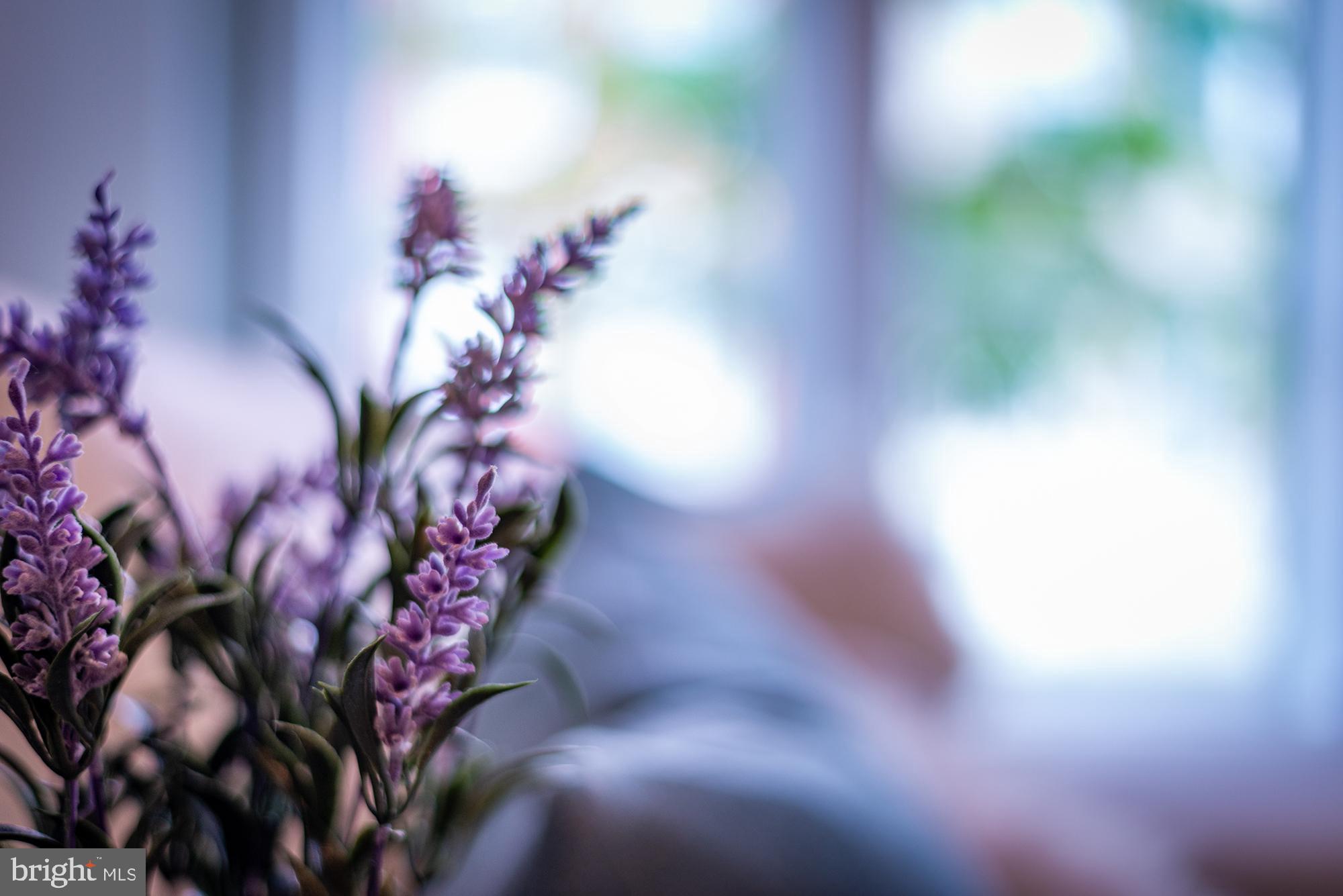 OLIVER - Residential