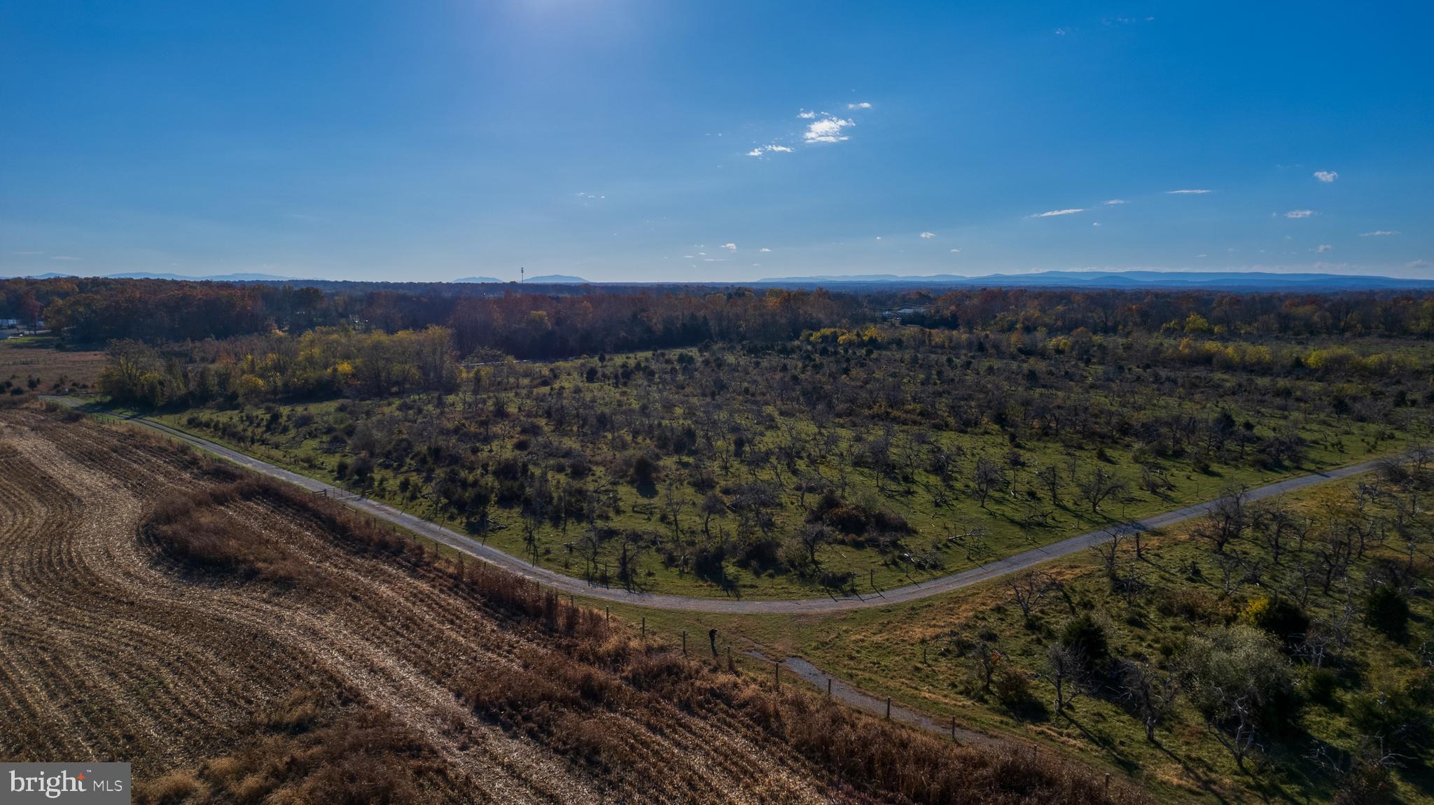 NONE AVAILABLE - Farm