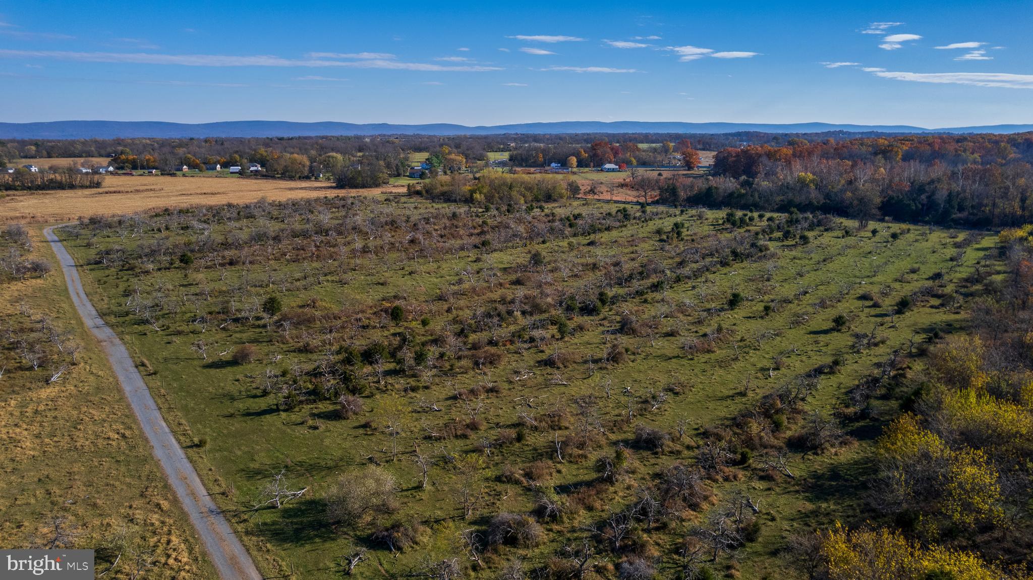 NONE AVAILABLE - Farm