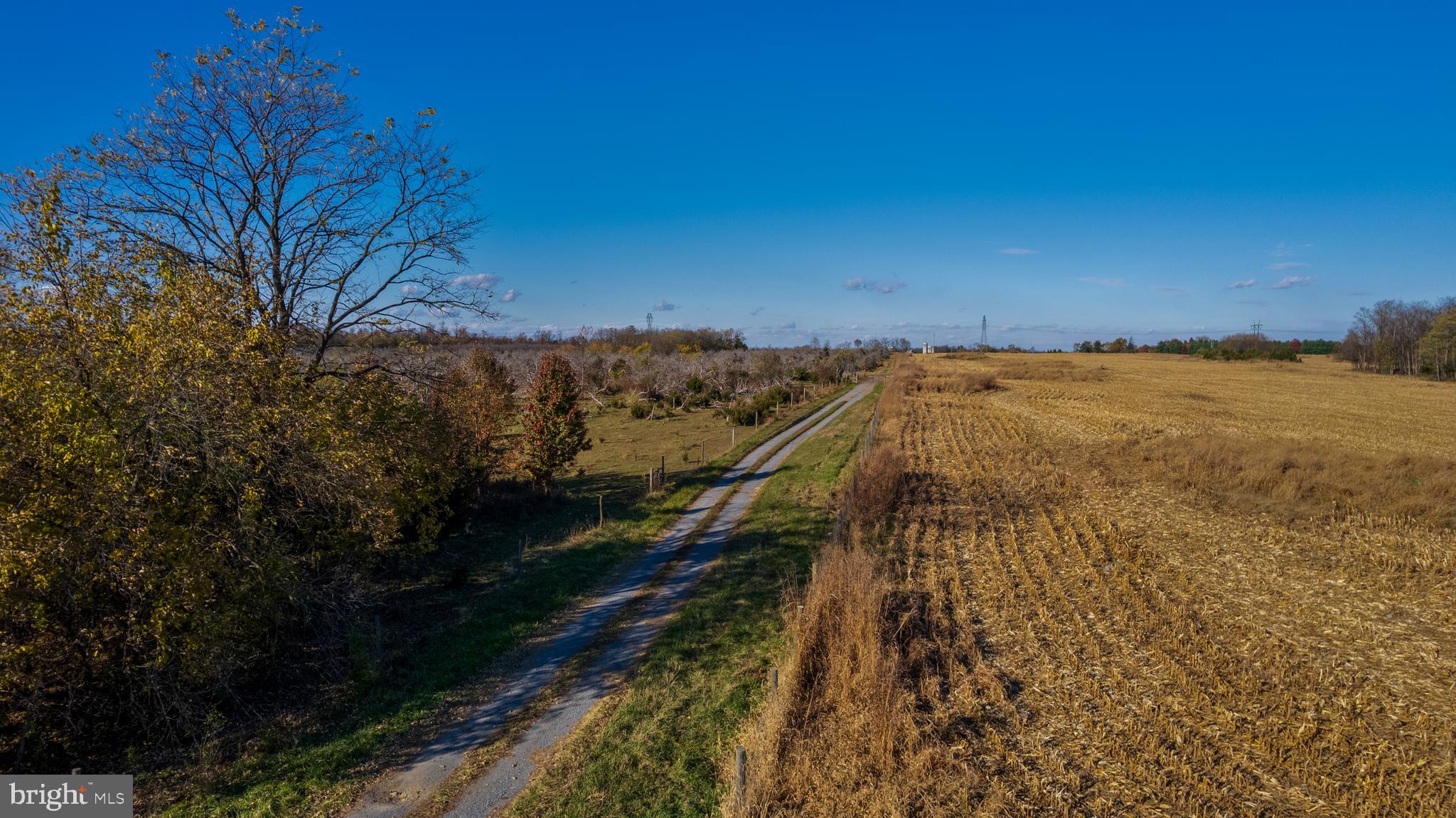 NONE AVAILABLE - Farm