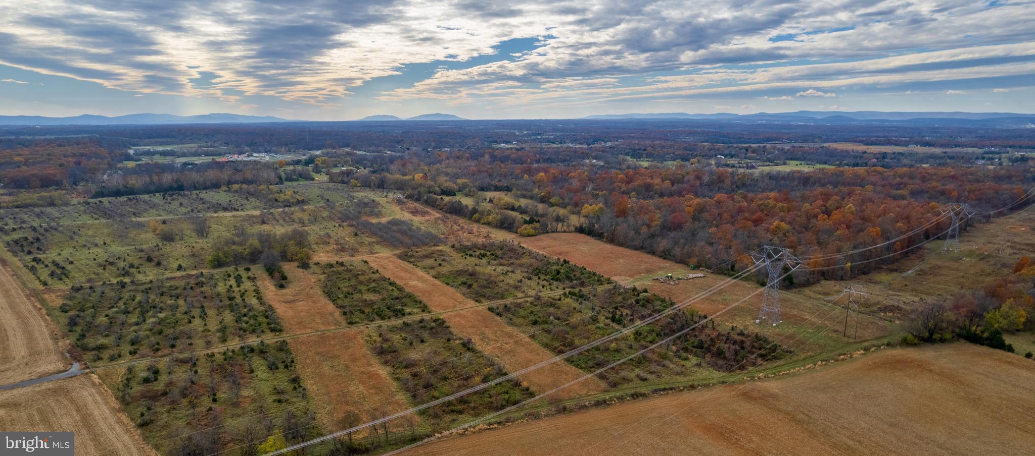 NONE AVAILABLE - Farm