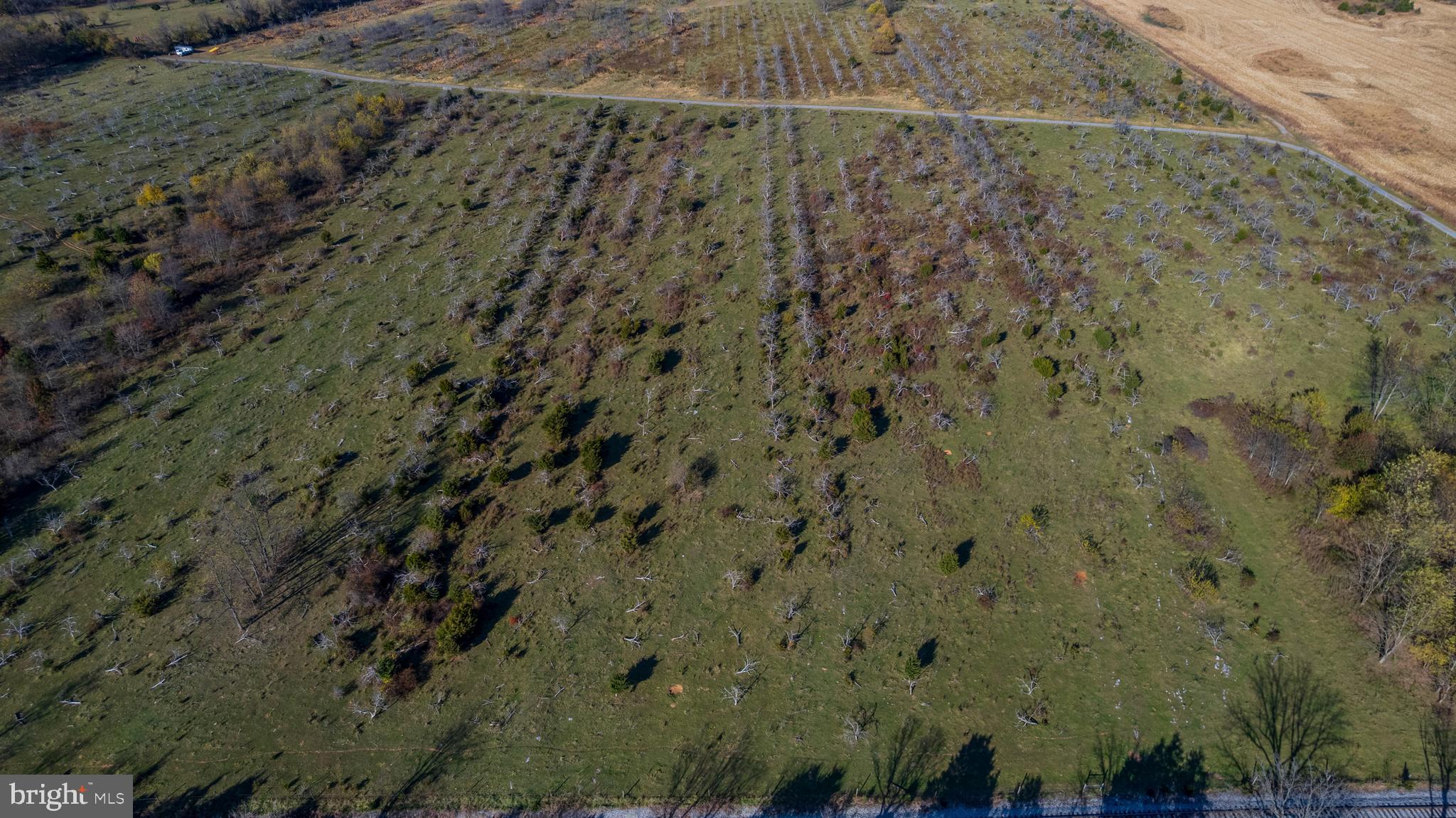 NONE AVAILABLE - Farm