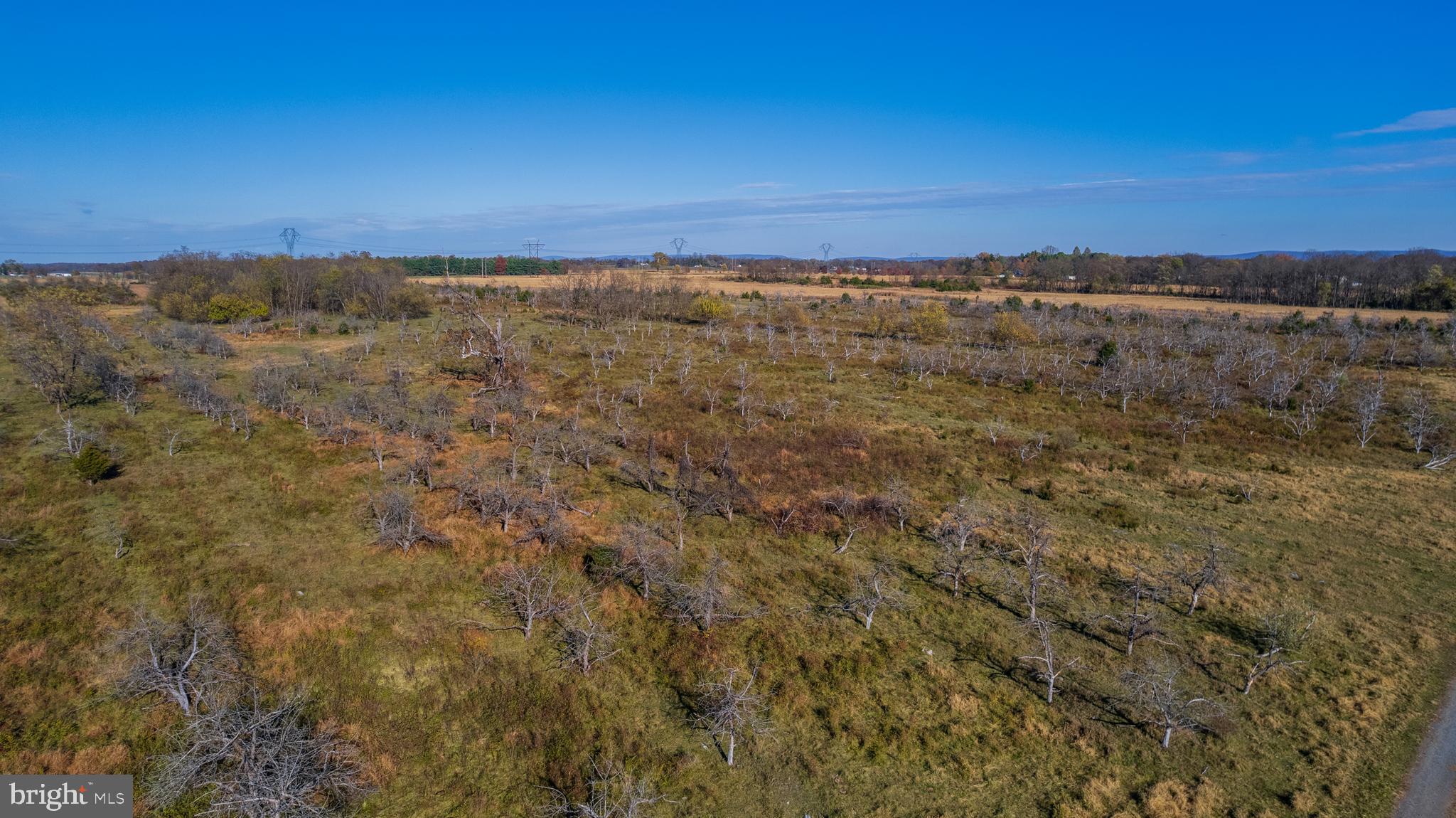 NONE AVAILABLE - Farm