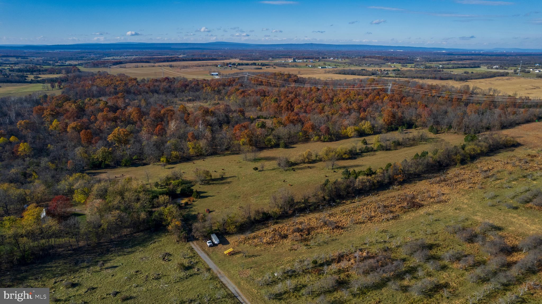 NONE AVAILABLE - Farm