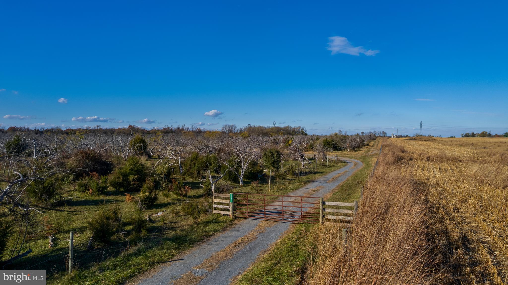 NONE AVAILABLE - Farm