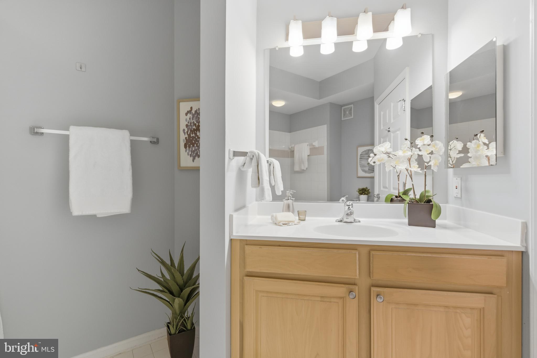 GROVE AT ARLINGTON - Residential