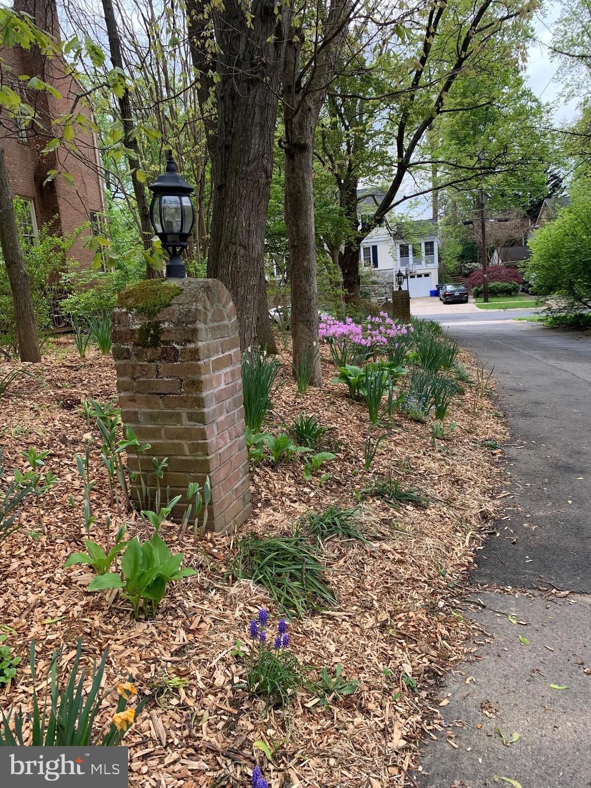 MASS AVE FOREST - Residential Lease