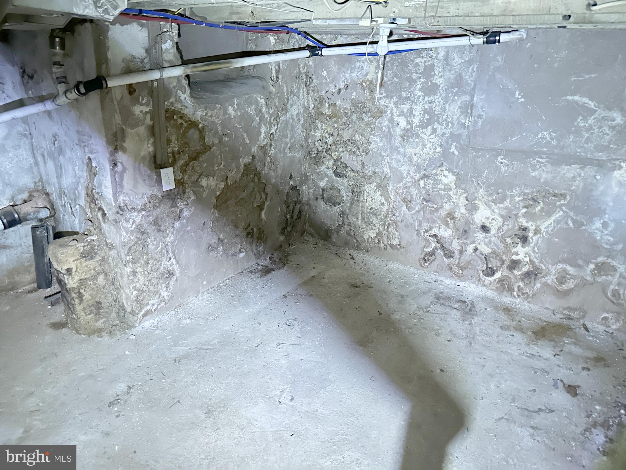 WHITMAN - Residential Lease