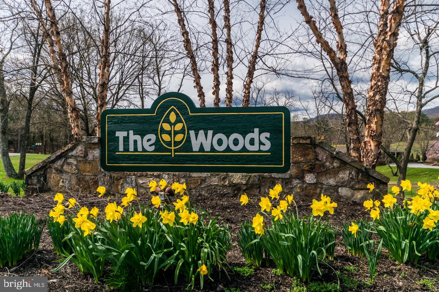 THE WOODS - Residential