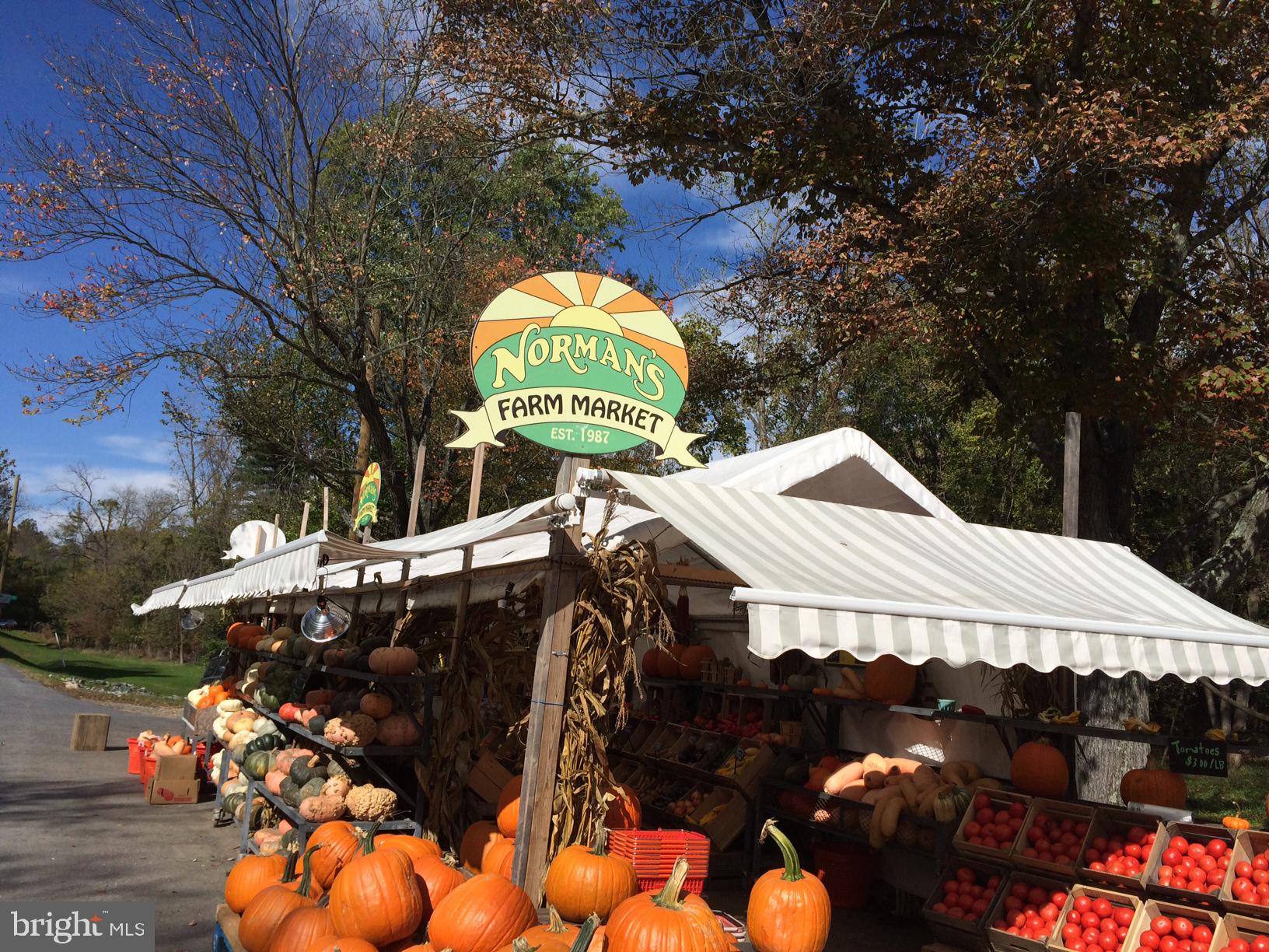 NORTH CHEVY CHASE - Residential