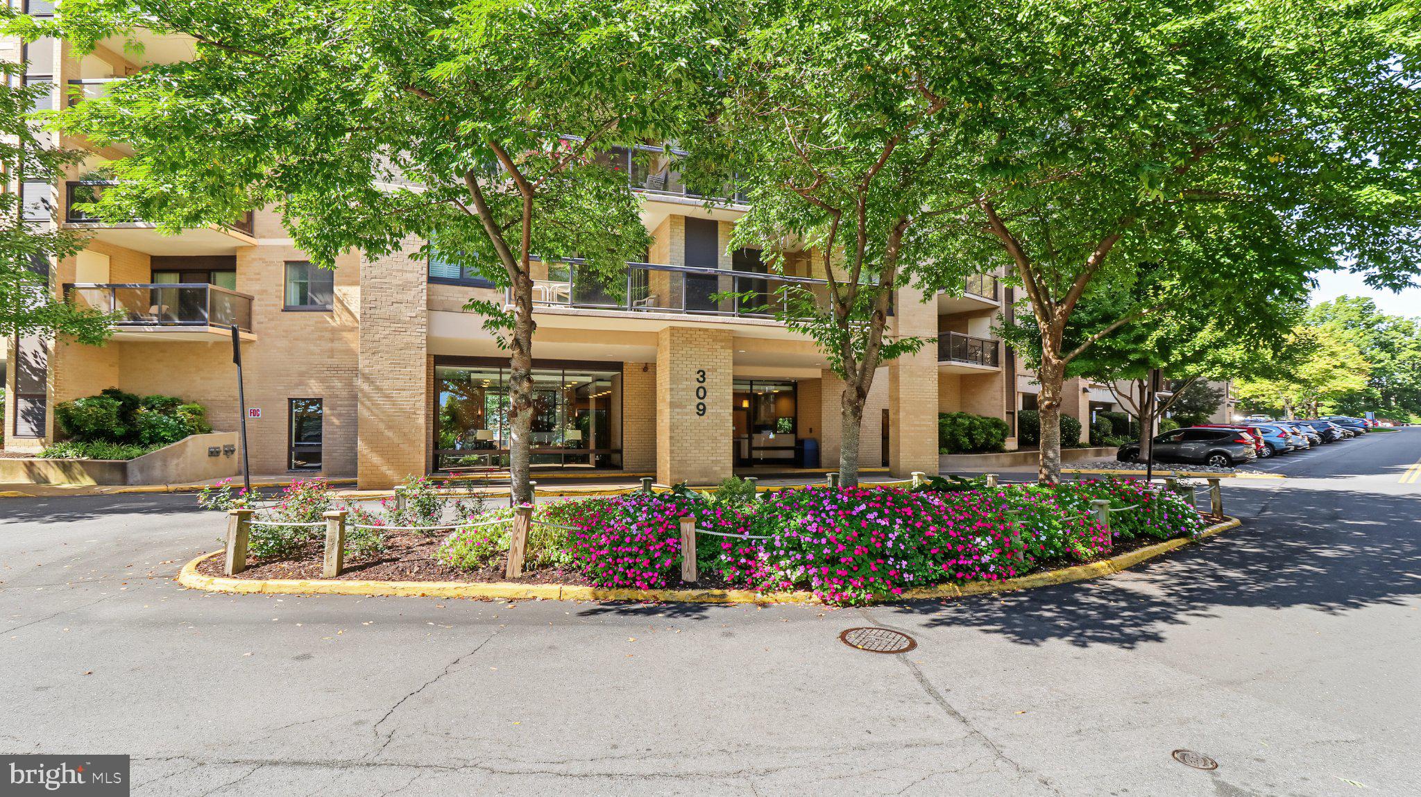 309 YOAKUM PARKWAY 1716