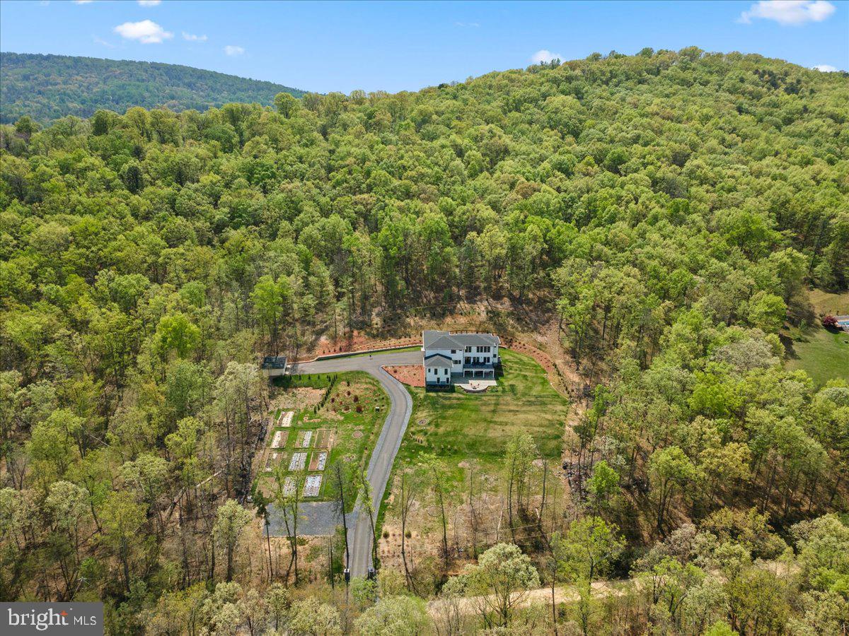 138 WOODED LANE