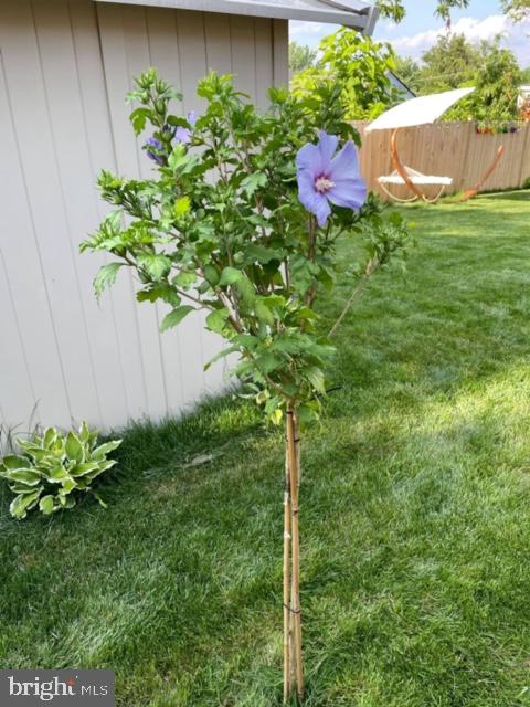 FAIRMOUNT HEIGHTS - Residential