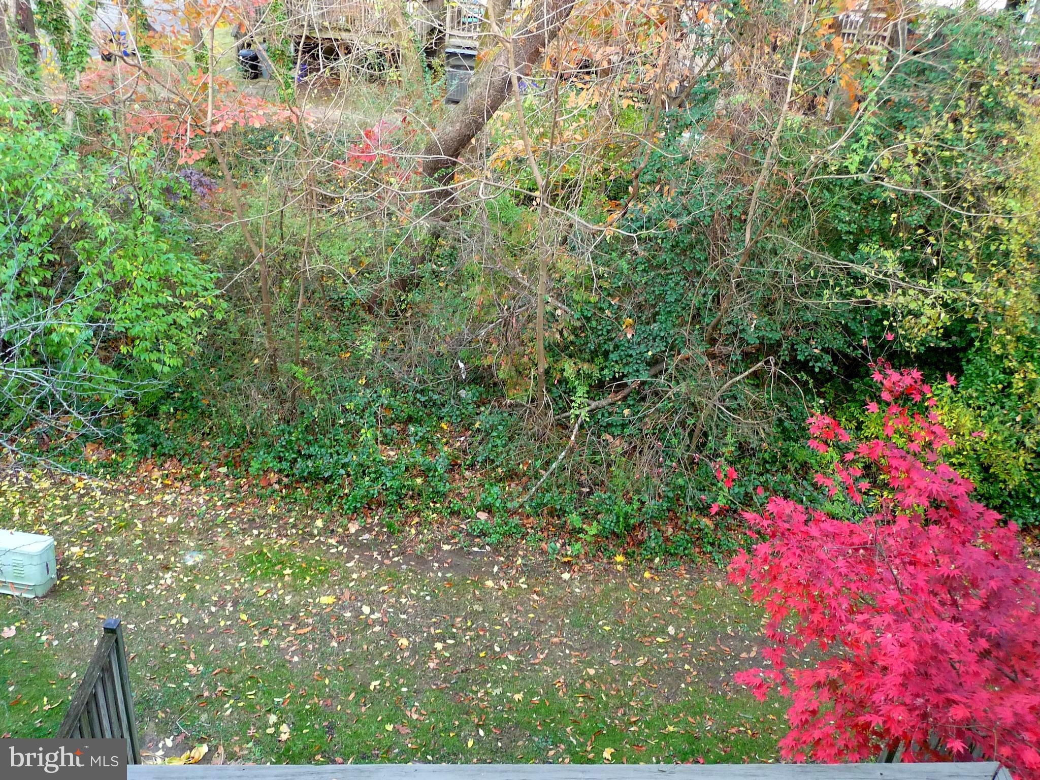 PAINTERS HILL - Residential