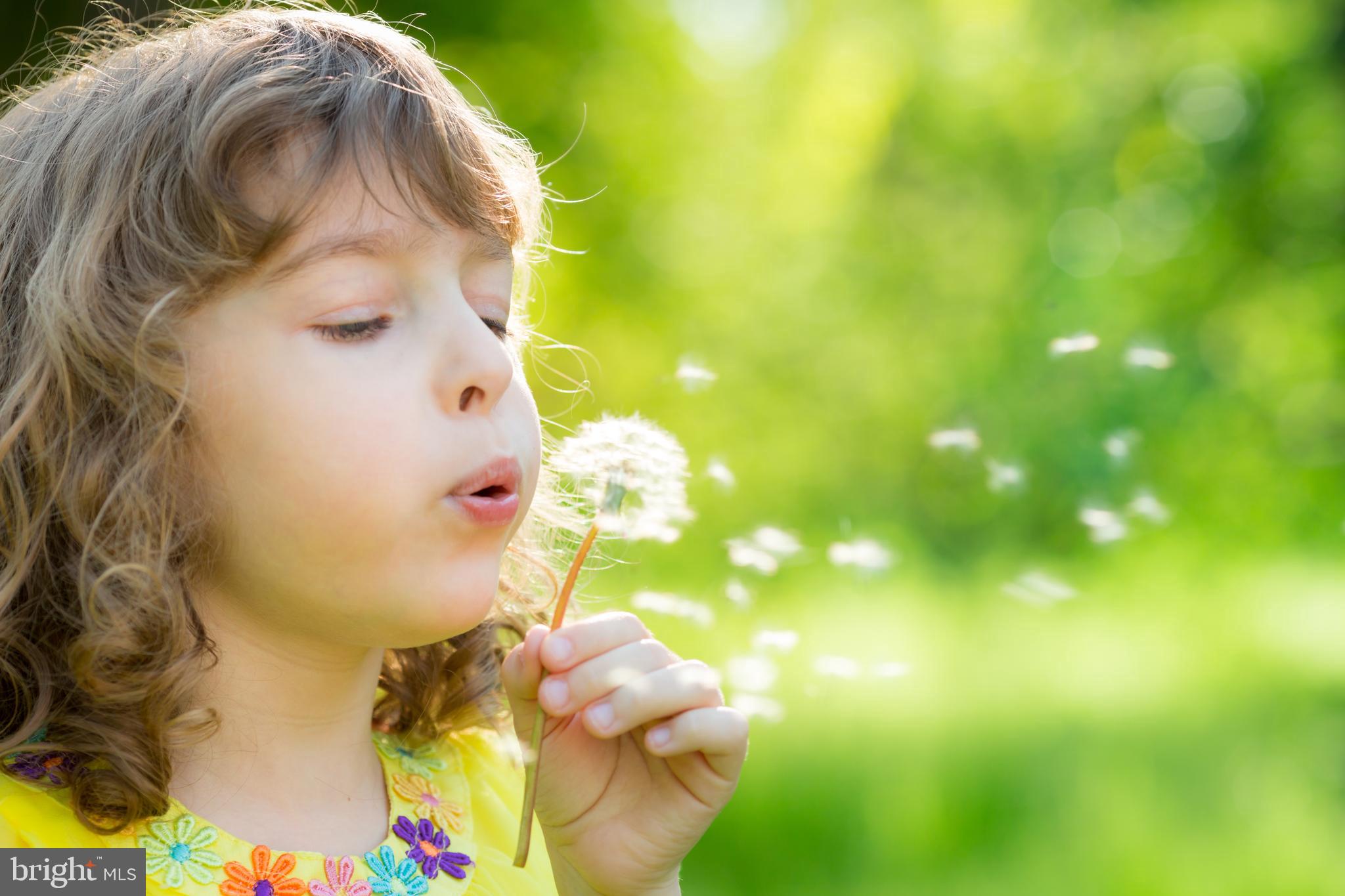 EASTPORT - Residential