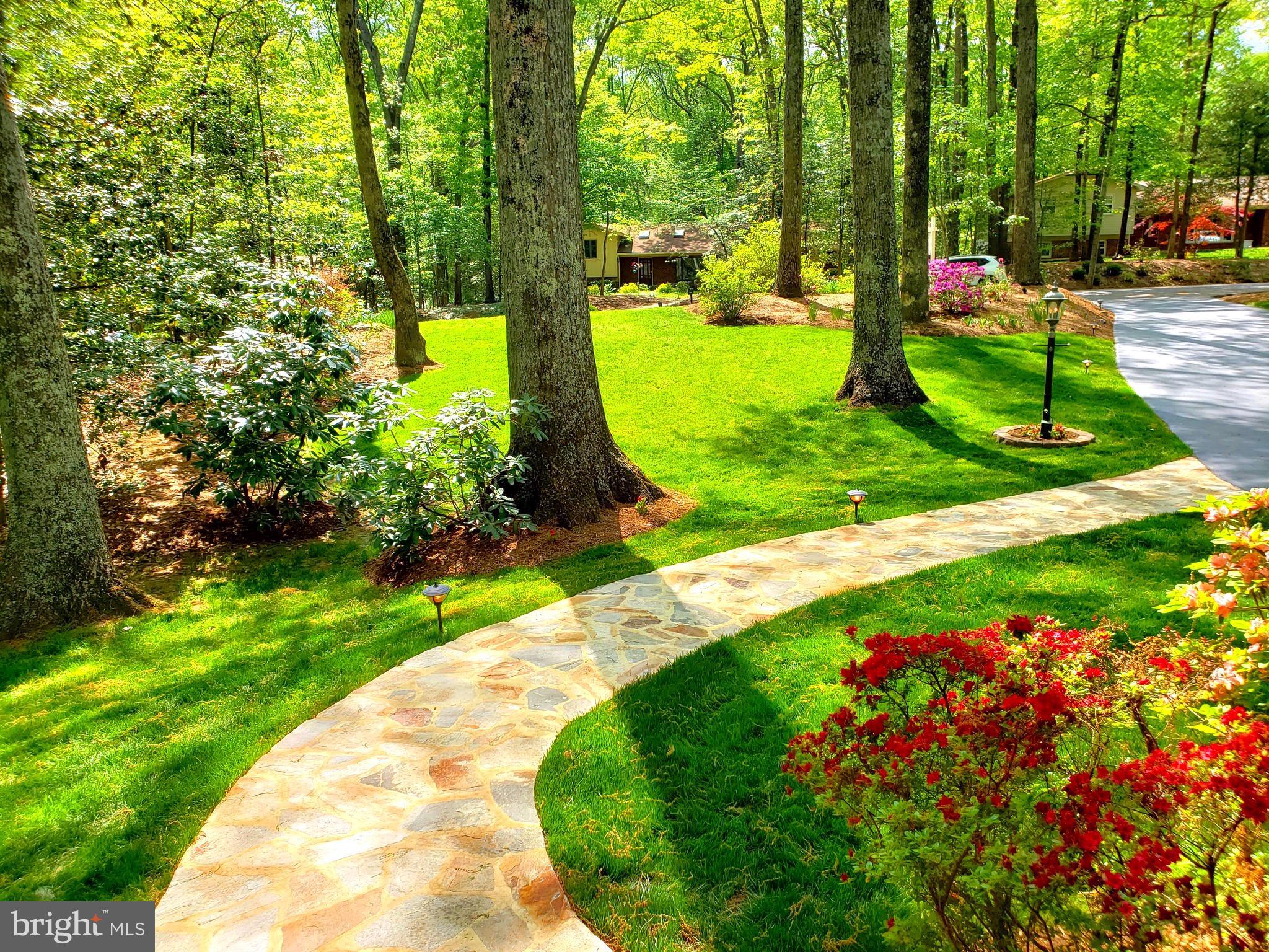 RESTON - Residential