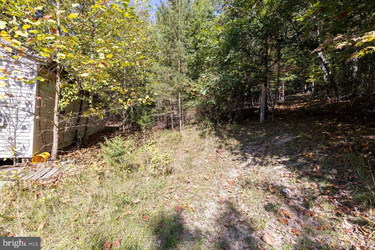 SHENANDOAH GAP - Residential