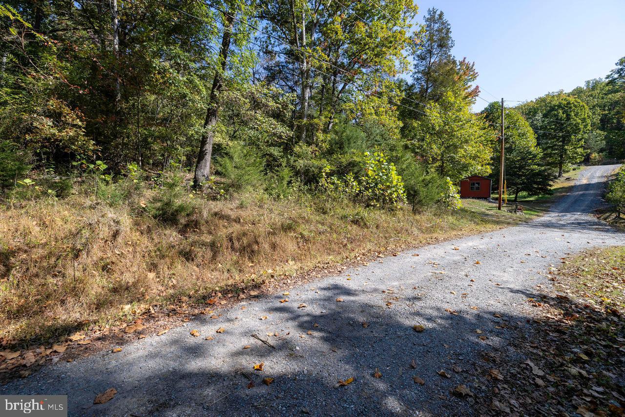 SHENANDOAH GAP - Residential