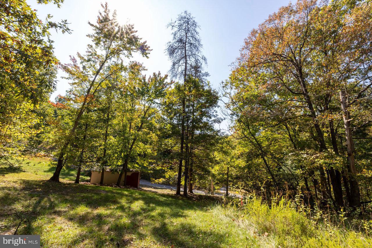 SHENANDOAH GAP - Residential