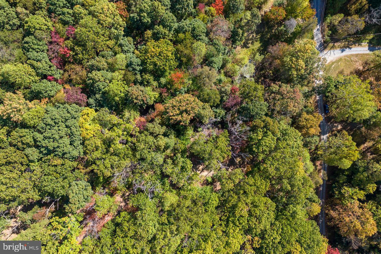 SHENANDOAH GAP - Residential