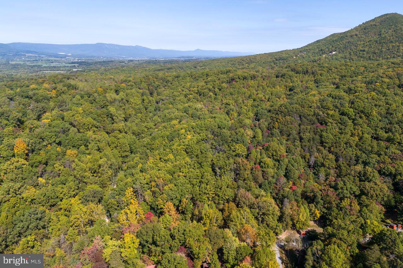 SHENANDOAH GAP - Residential