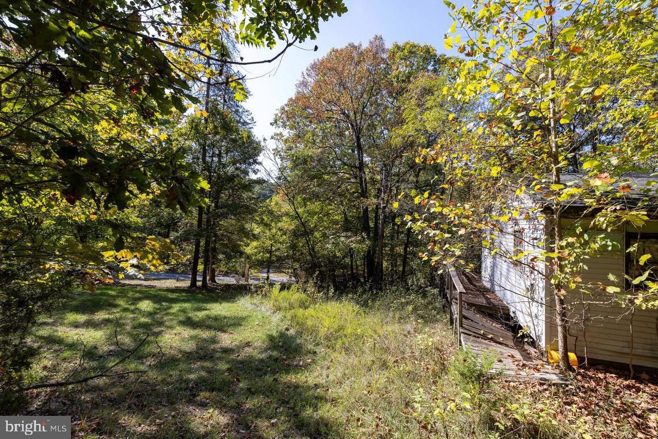 SHENANDOAH GAP - Residential