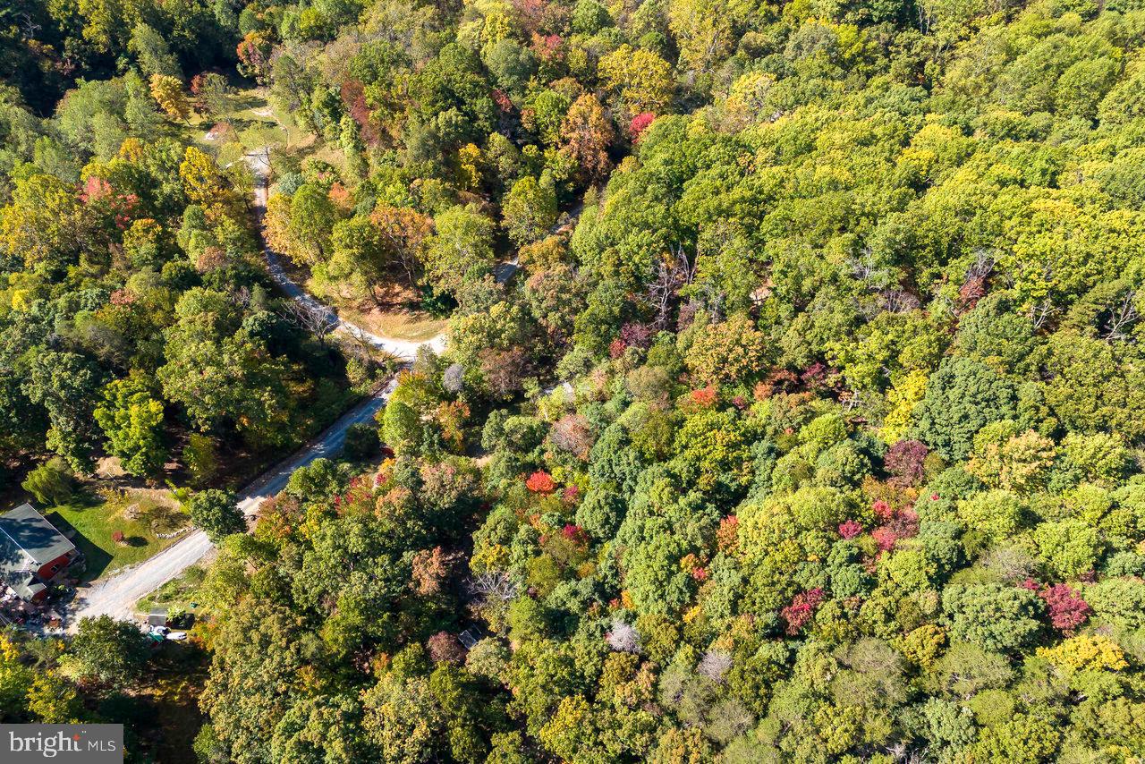 SHENANDOAH GAP - Residential