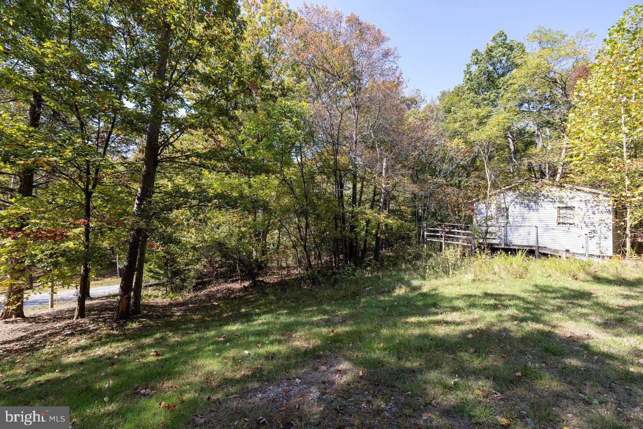 SHENANDOAH GAP - Residential