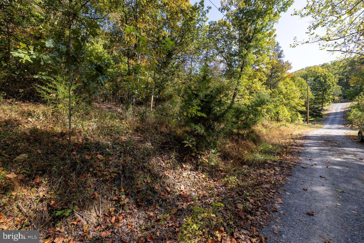 SHENANDOAH GAP - Residential