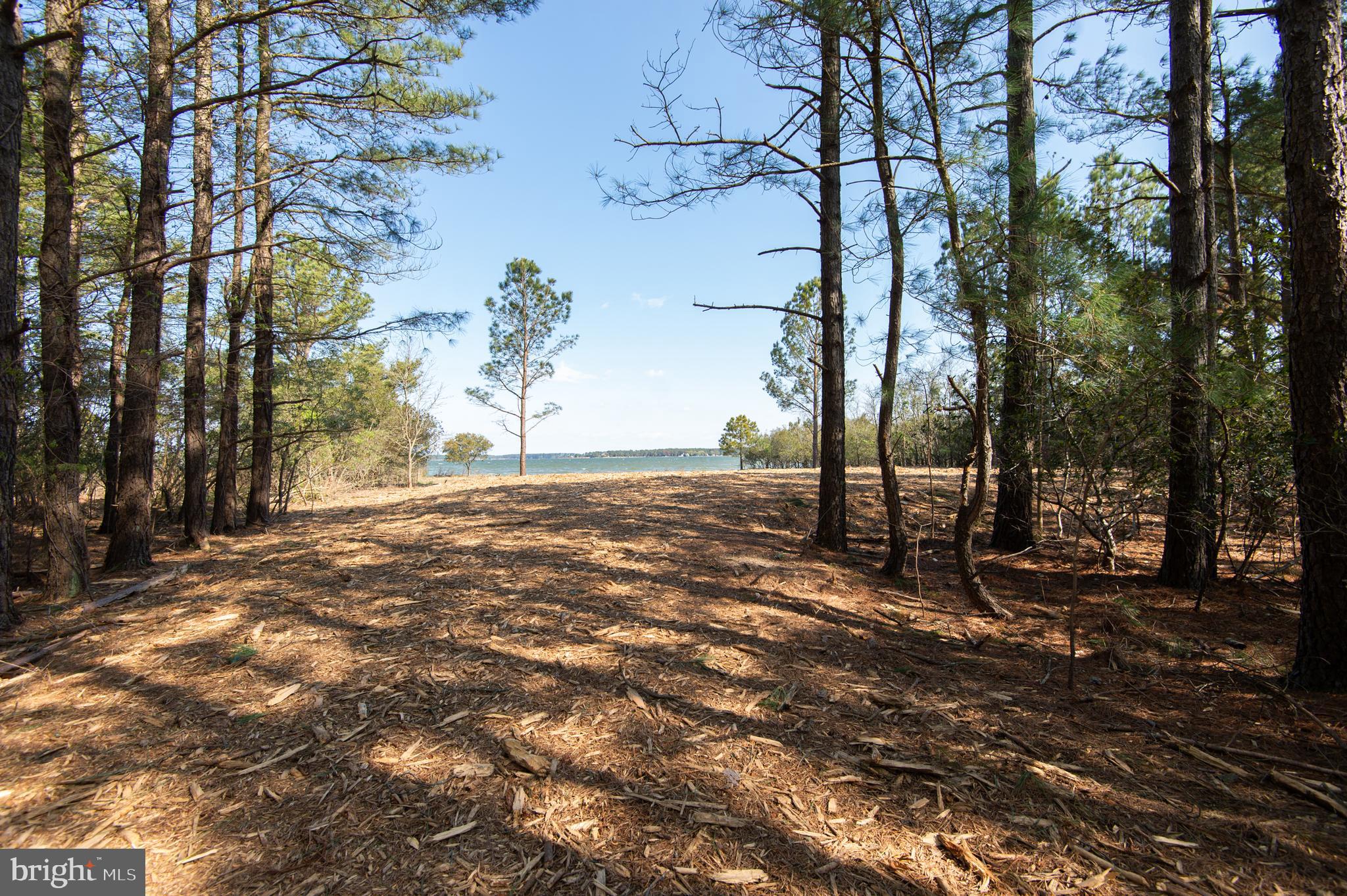 MCKEIL POINTE - Land