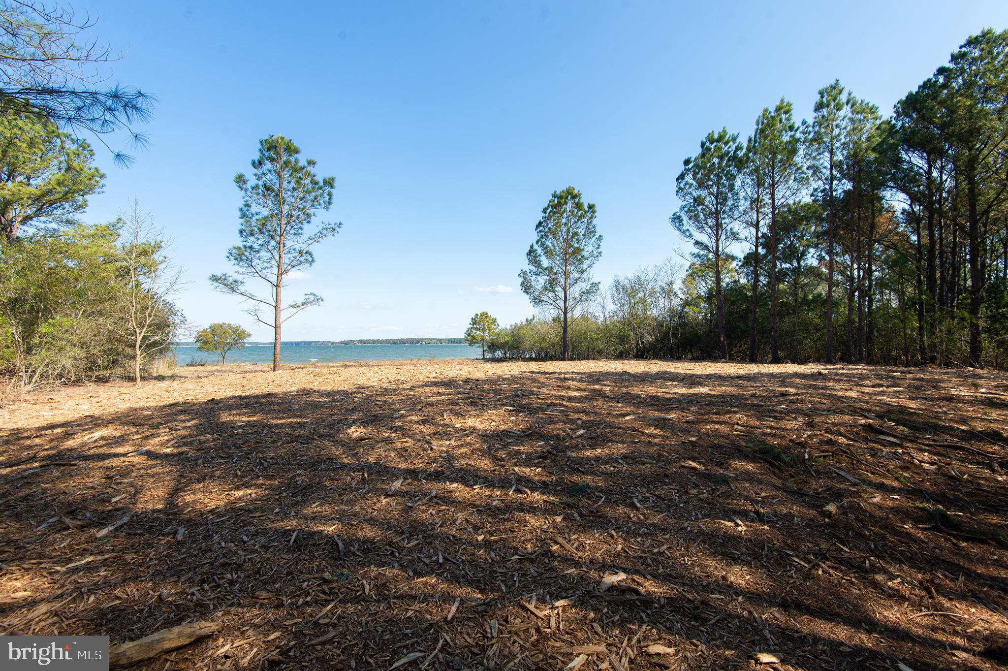 MCKEIL POINTE - Land