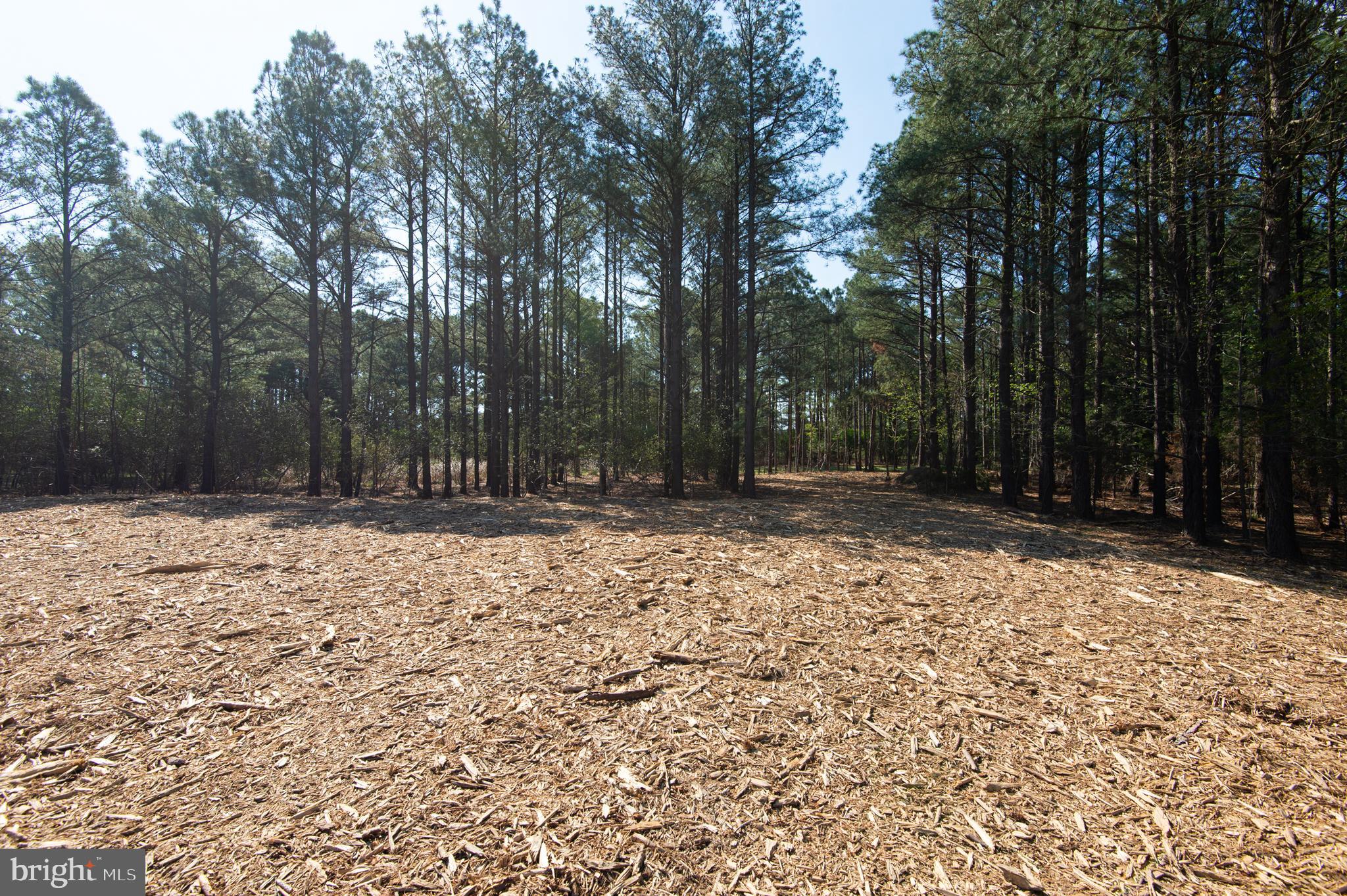 MCKEIL POINTE - Land