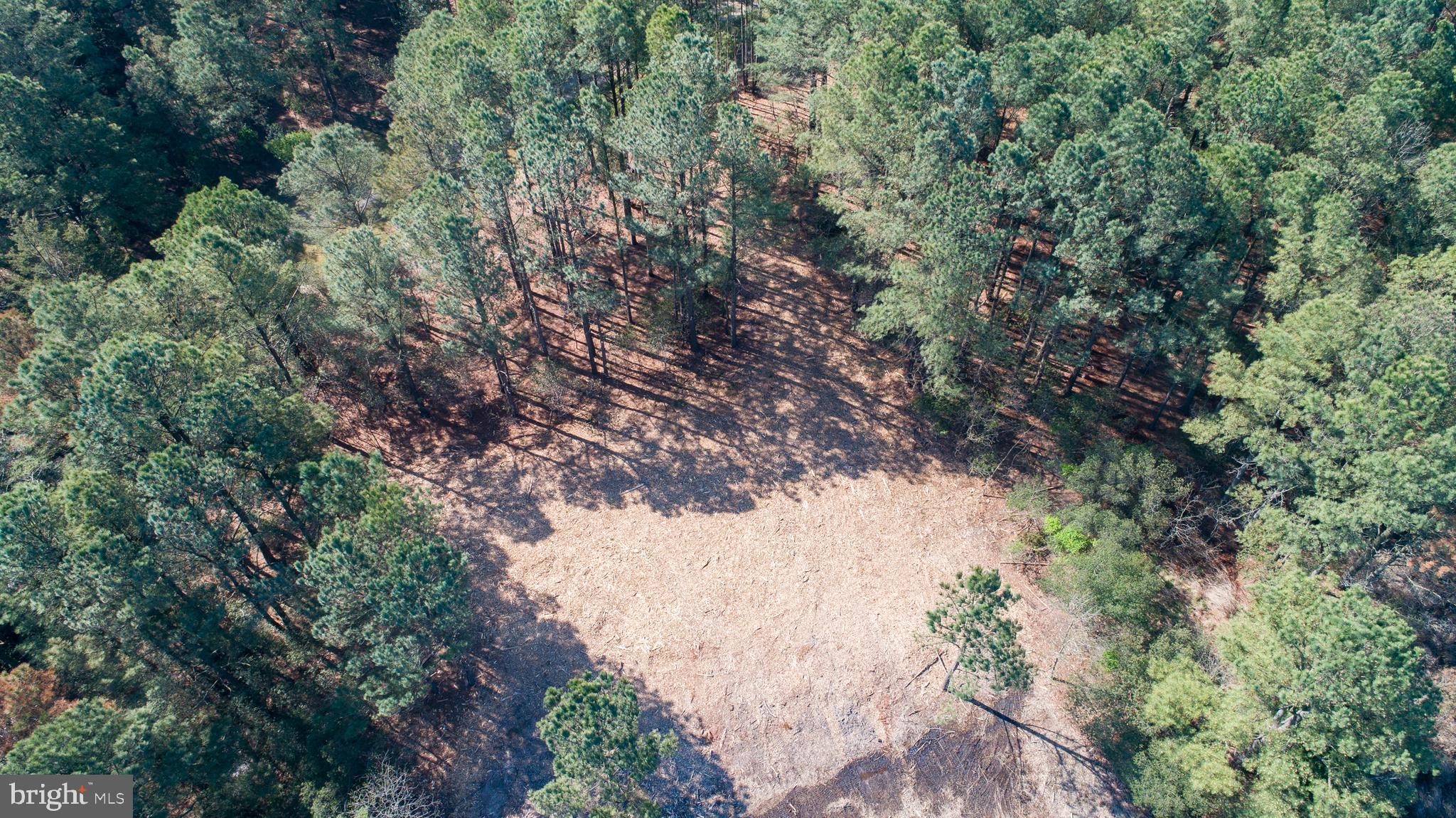 MCKEIL POINTE - Land