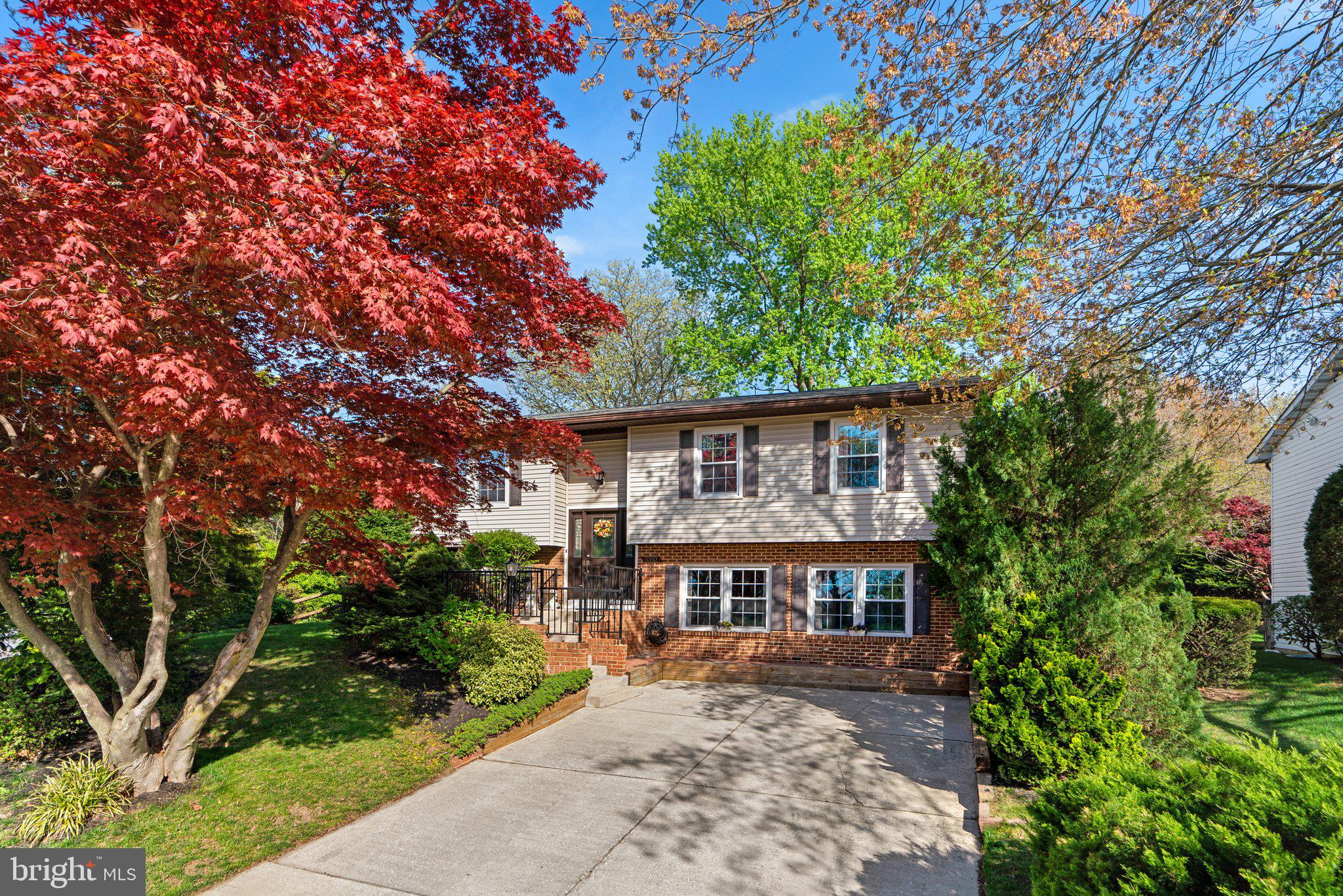 PHELPS LUCK - Residential