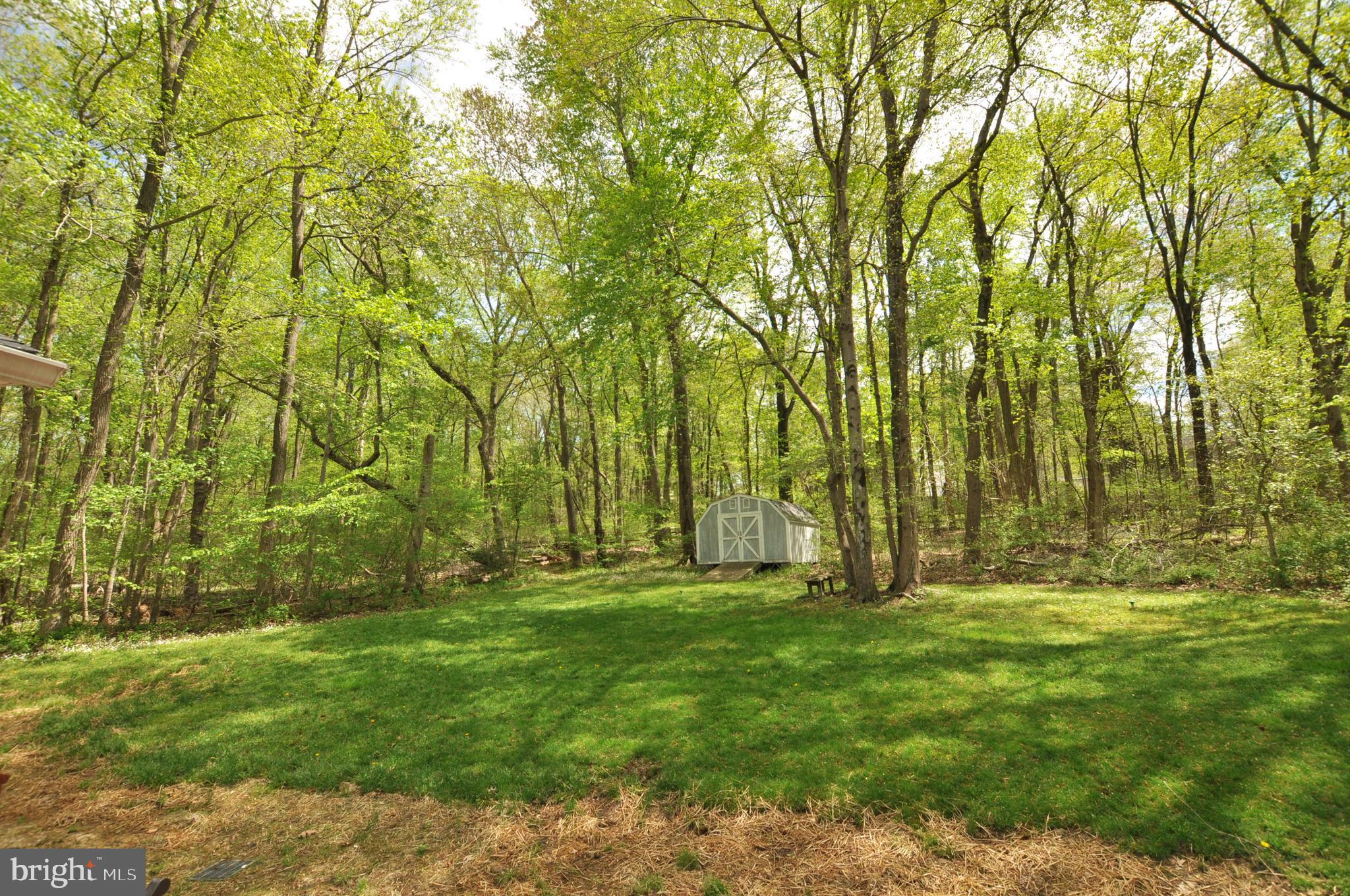 EUTAW FOREST - Residential